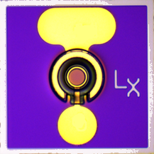 10G APD photodetector